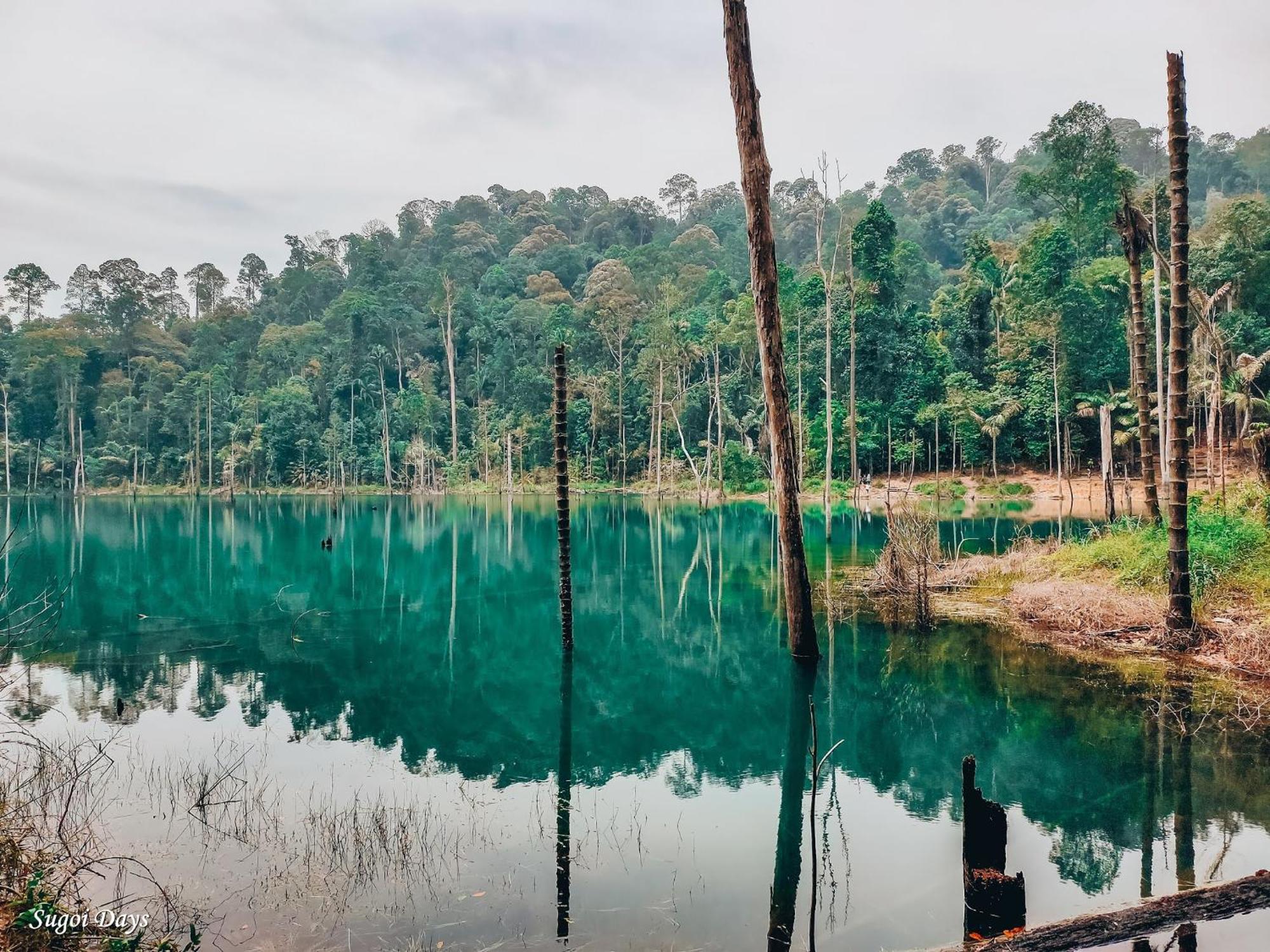 De Cozy Corner Suria Rafflesia Setia Alam Leilighet Shah Alam Eksteriør bilde